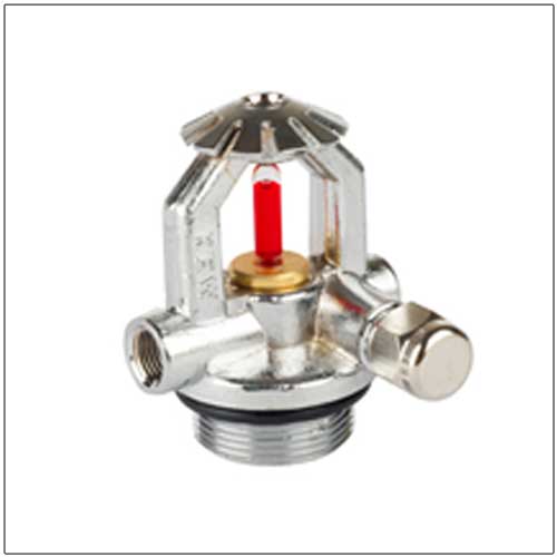 product10